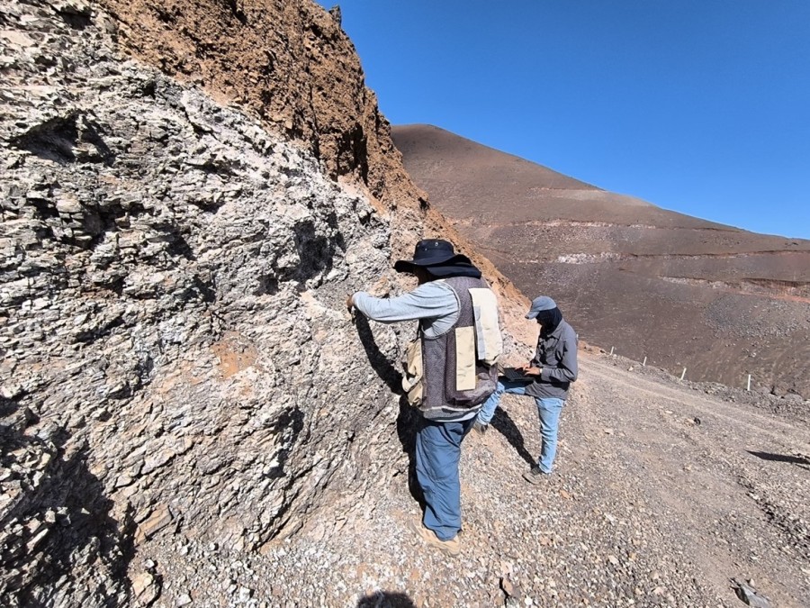 Junior Mining Network