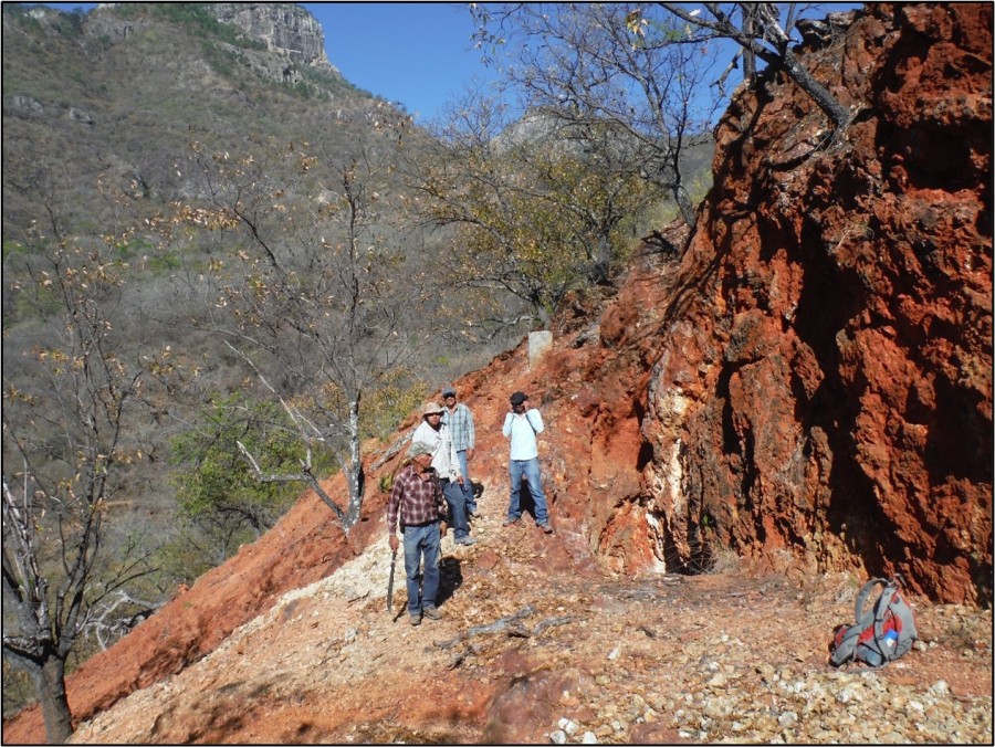 Junior Mining Network