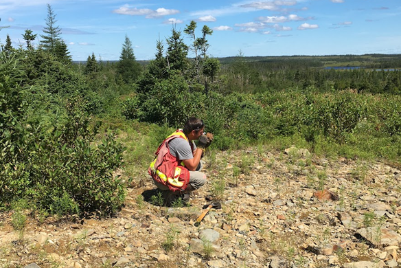 Junior Mining Network