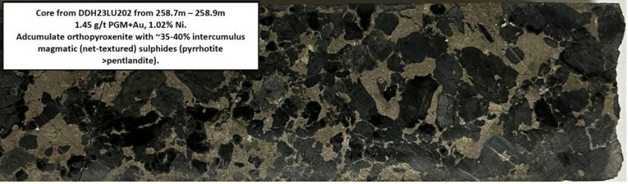 Figure 1: Core Photo DDH23LU202, magmatic nickel sulphide mineralization  - North Sector. (CNW Group/Bravo Mining Corp.)