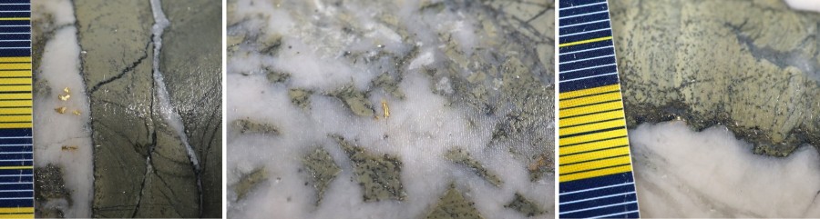 Figure 1: Photos of mineralization at Pistachio at ~243m in NFGC-24-2153
^Note that these photos are not intended to be representative of gold mineralization in NFGC-24-2153. (CNW Group/New Found Gold Corp.)