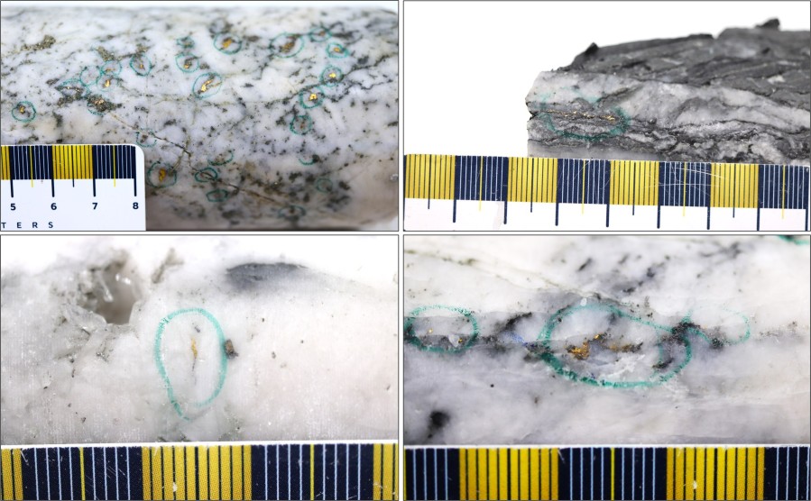 Figure 1: Photos of mineralization at Golden Dome and Dome, Top Left: at ~504.7m in NFGC-24-2188, Top Right: at ~231m in NFGC-24-2184, Bottom Left: at ~189.4m in NFGC-24-2230 and Bottom Right:  at ~171.5m in NFGC-24-2227. ^Note that these photos are not intended to be representative of gold mineralization in NFGC-24-2184. NFGC-24-2188, NFGC-24-2227 and NFGC-24-2230. (CNW Group/New Found Gold Corp.)