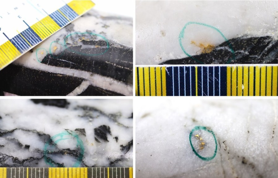 Figure 1: Photos of mineralization at Dome, Keats-AFZ Deep and Keats South Deep. Top Left: Dome ~322 m in NFGC-24-2238, Top Right: Dome ~323 m in NFGC-24-2238, Bottom Left: KSD at ~861.70 m in NFGC-24-2112-W4 and Bottom Right: Keats-AFZ Deep ~1,137m in NFGC-24-2168.
^Note that these photos are not intended to be representative of gold mineralization in NFGC-24-2238, NFGC-24-2112-W4, and NFGC-24-2168. (CNW Group/New Found Gold Corp.)