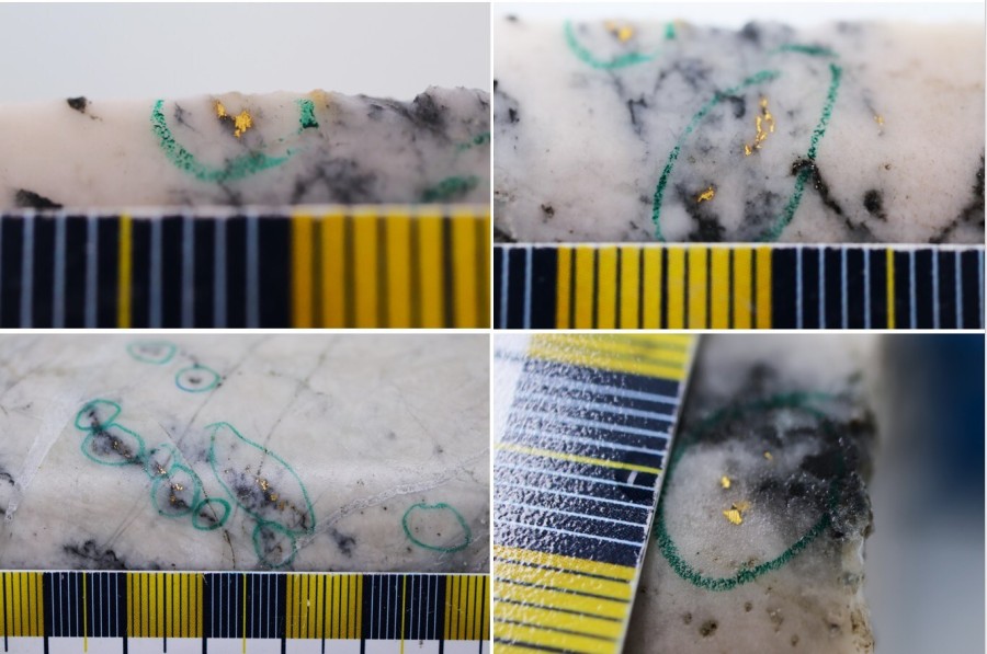 Figure 1: Photos of mineralization at Dropkick and Dropkick east. Top Left: Dropkick ~197.50 m in NFGC-24-2225, Top Right: Dropkick ~198 m in NFGC-24-2225. Bottom Left: Dropkick at ~386.50 m in NFGC-24-2214 and Bottom Right: Dropkick ~164 m in NFGC-24-2233. ^Note that these photos are not intended to be representative of gold mineralization in NFGC-24-2225, NFGC-24-2214, and NFGC-24-2233. (CNW Group/New Found Gold Corp.)