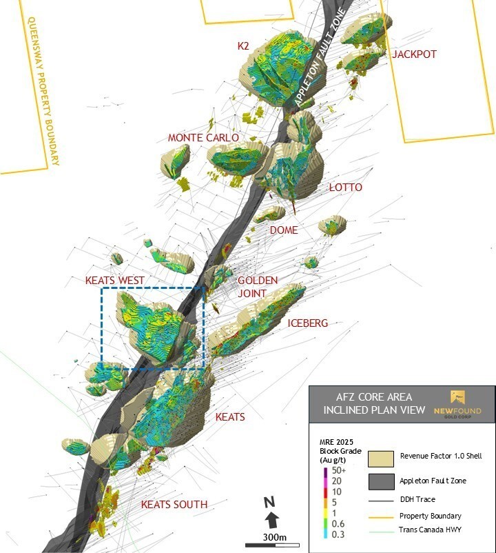 Figure 1: Inclined plan view map of the AFZ Core area. (CNW Group/New Found Gold Corp.)