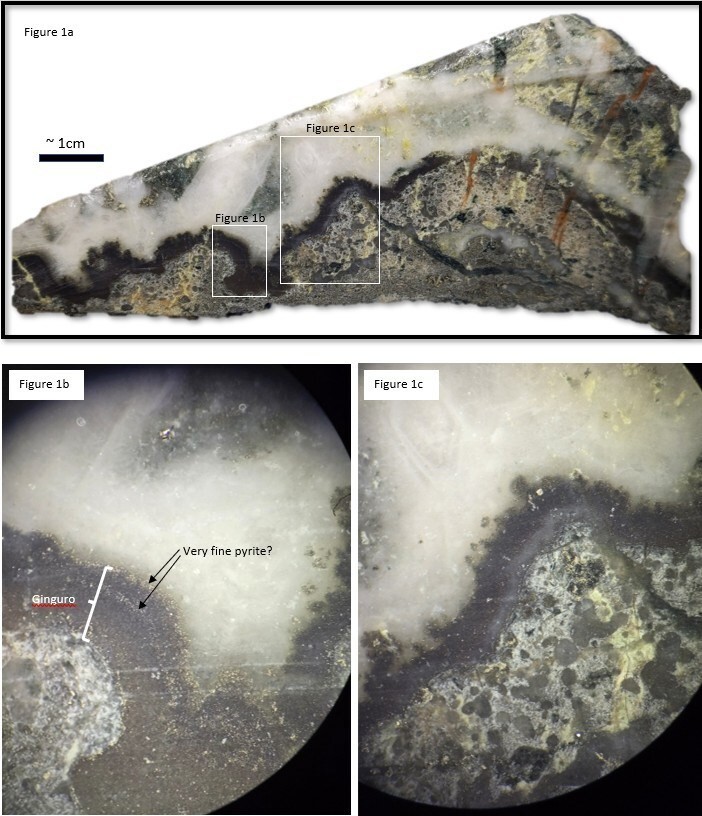 Figure 1a. Photo of well developed ginguro band along contact of crustiform-colliform quartz vein with insets (Figures 1b and 1c) showing compositional layering within the ginguro band consisting of what appears to be pyrite rich layers and layers dominated by a metallic, blackish-purple mineral. (CNW Group/Northern Shield Resources Inc.)