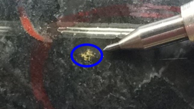 Picture 1: 2020 McFinley Zone Exploration Program – Hole 84L-20-02 – Core Section with visible gold (circled in blue) (CNW Group/Battle North Gold Corporation)