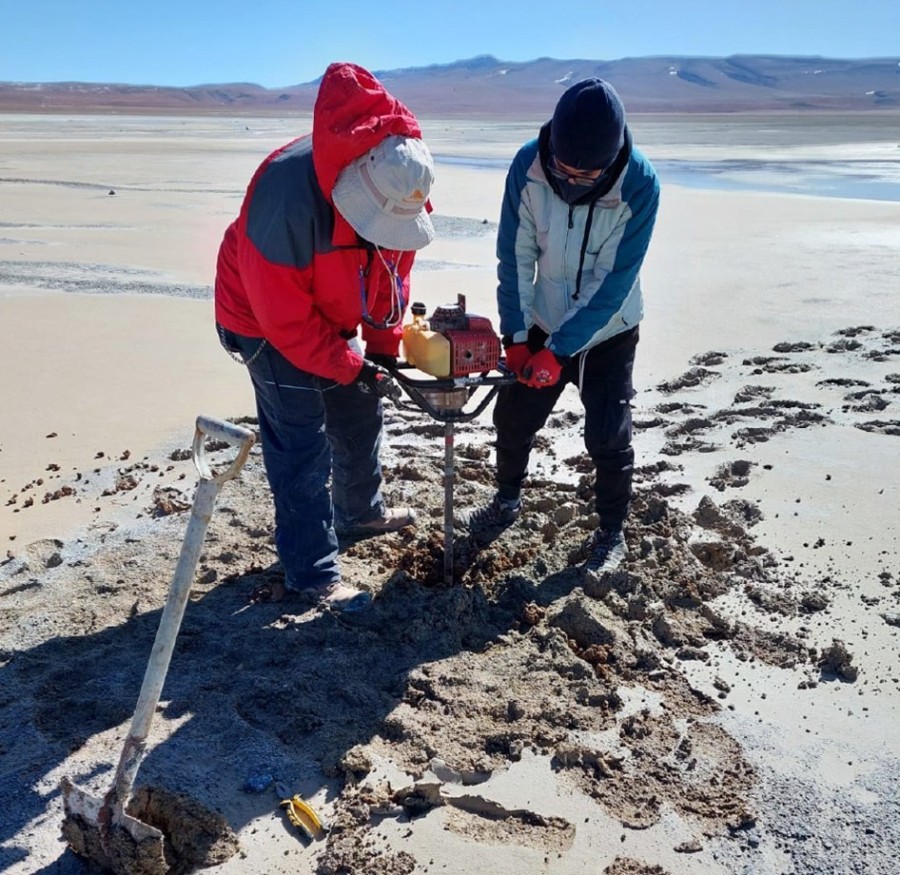 Figure 1. Shallow 1.5 m brine sampling holes made with an auger. (CNW Group/Monumental Minerals Corp.)