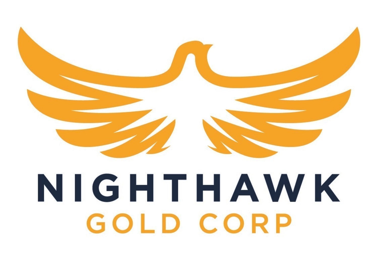 Nighthawk Gold Corp. Logo (CNW Group/Nighthawk Gold Corp.)