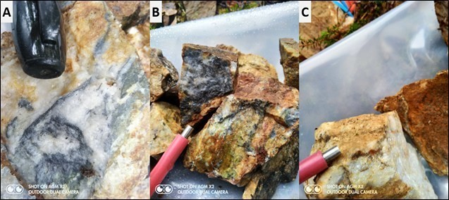 Photos of Gray Lead/Pogo-style quartz vein mineralization found at the West Trench prospect. A) 190.4 g/t Au - Zoom of quartz vein with pyrite, arsenopyrite, bismuthinite, and stibnite. B) Same as A, oxidized with minor scorodite. C) 9.82 g/t Au - Same sample site, opaque white quartz vein with lower sulphide content but strong oxidation along fracture surfaces. (CNW Group/Tectonic Metals Inc.)