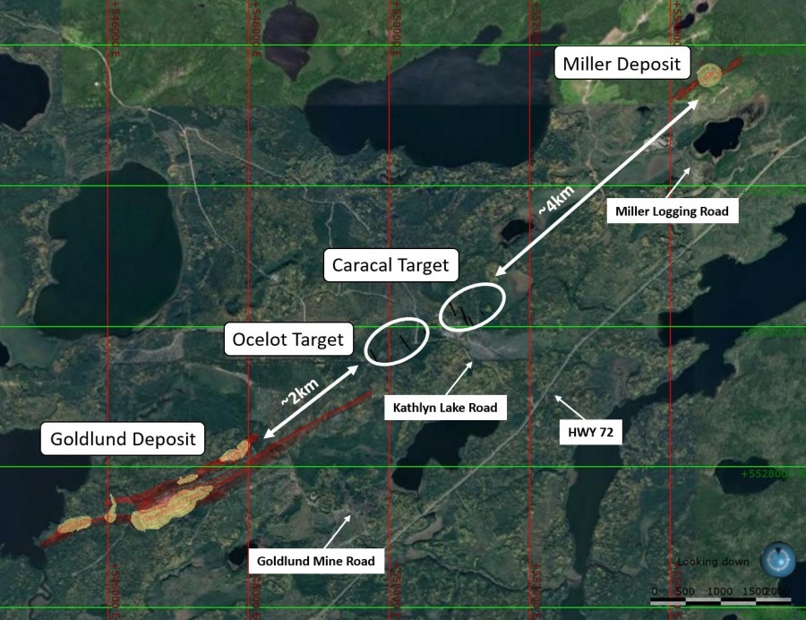 Figure 1: Location of Wild Cat Exploration Targets (CNW Group/Treasury Metals Inc.)