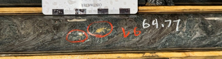 Visible Gold from South Austin Zone in hole MM24D-12-4640-008 @ 64.77m downhole depth.