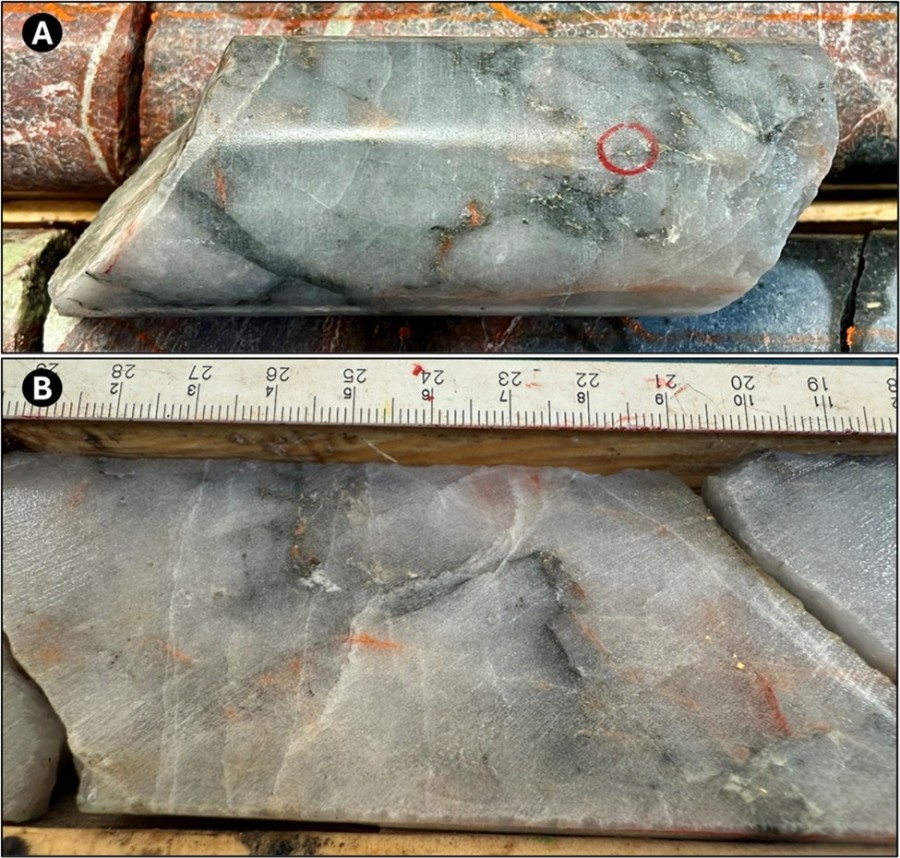 Figure 1 - 