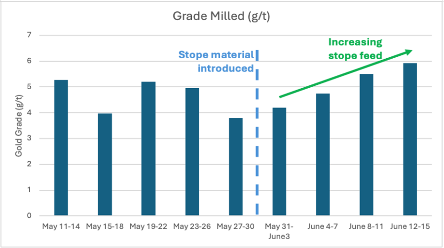 Figure 1. Four-day average milled gold grade from May 11th to June 15th. 