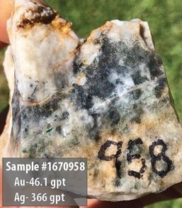 Sample 1670958
