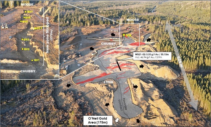 Figure 1: The Gold Potential is Confirmed over 700m Strike Length in the OGT