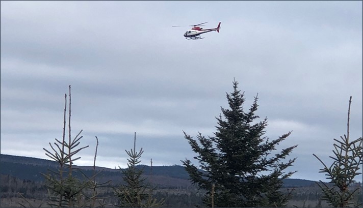 Figure 1: Heliborne Radiometric Survey in Progress at Williams Brook