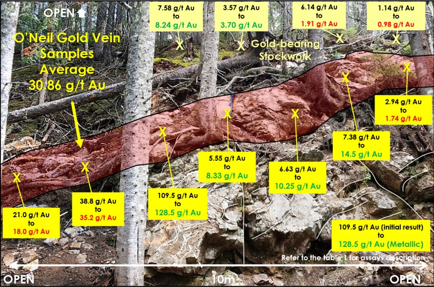 JuniorMiningNetwork