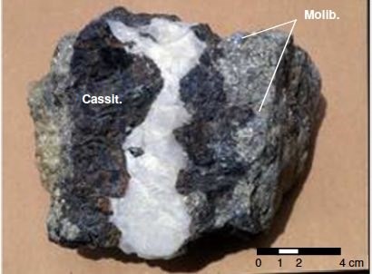 JuniorMiningNetwork