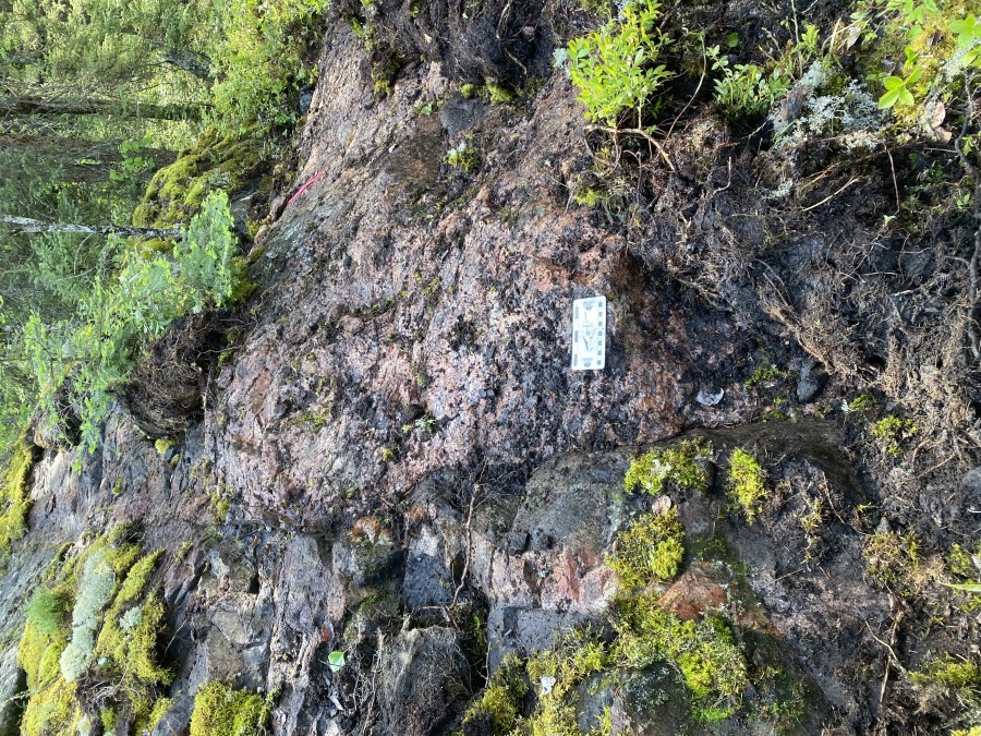 Junior Mining Network