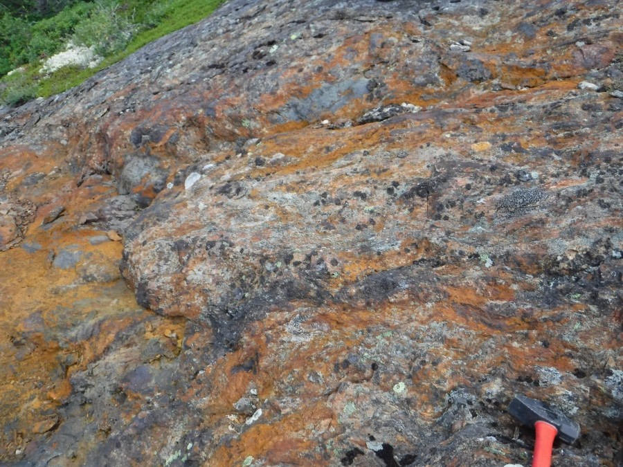 JuniorMiningNetwork