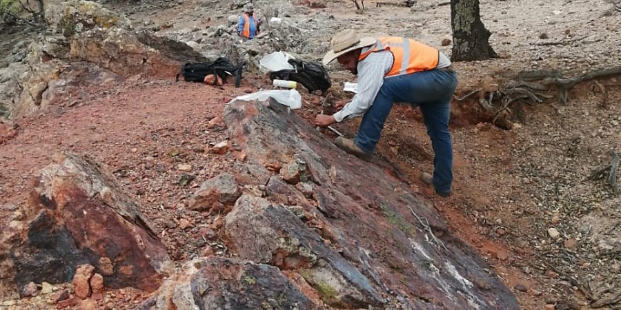 JuniorMiningNetwork