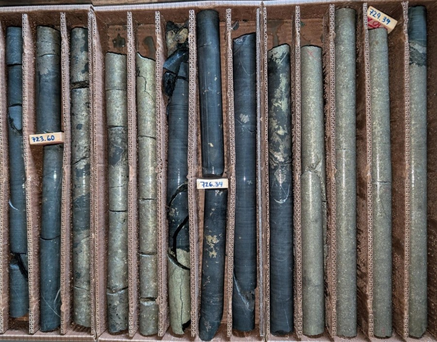Talon Metals Reports New High-Grade Nickel-Copper Assays Across the Vault Zone