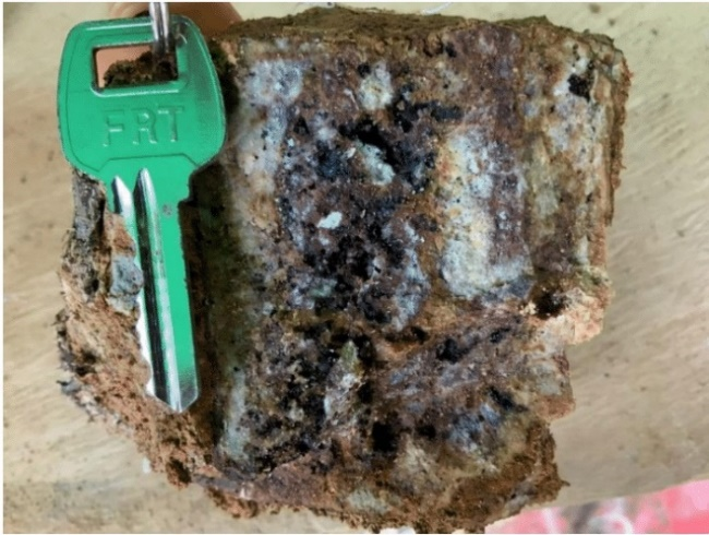 Junior Mining Network