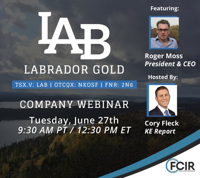 LabradorGold62720231