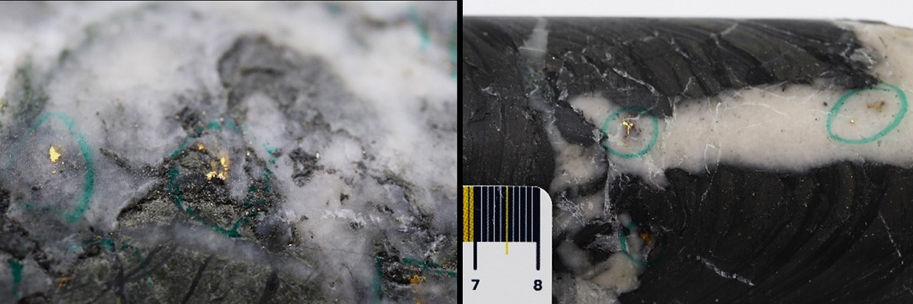 New Found Gold Intercepts 31 g/t Au Over 7.95m at Iceberg & 15 g/t Au Over 7.55m at Iceberg East