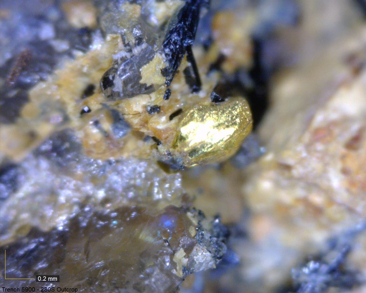 MarathonGold82820182