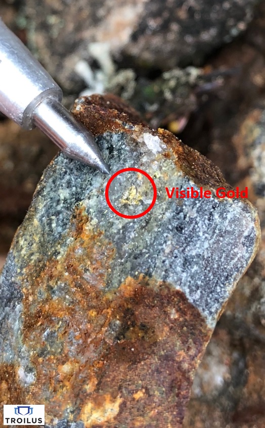 TroilusGold12420182