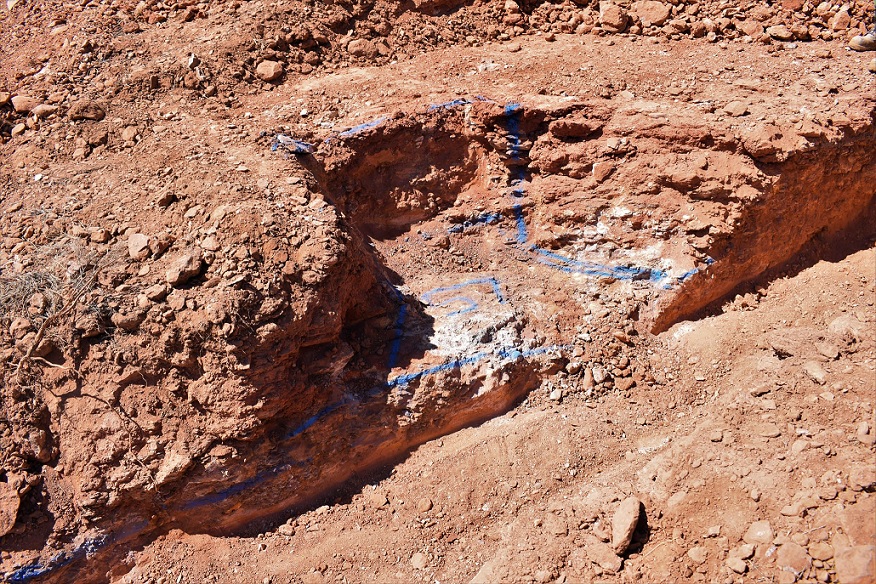 NovoResources22020194