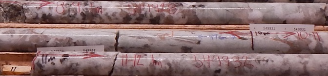 MGX Minerals 1 24 2018 1