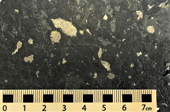 Junior Mining Network