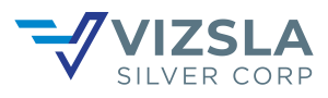 Vizsla Silver